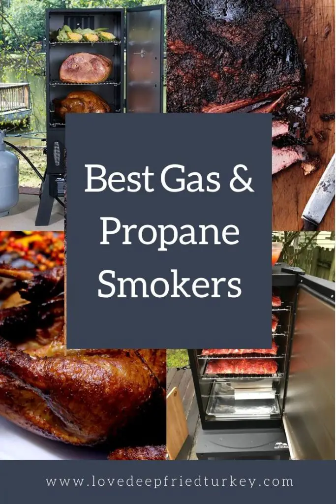 Best Propane Smoker Gas Smokers for Delicious Smoked Meats