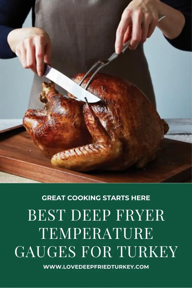 https://www.lovedeepfriedturkey.com/wp-content/uploads/2021/01/deep-fryer-temperature-gauges-for-turkey.jpg